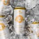 QUANTUM LEAP | GINGER LEMON 269ml QUANTUM LEAP | GINGER LEMON 269ml
