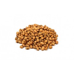 FEIJÃO DE CORDA 100g FEIJÃO DE CORDA 100g
