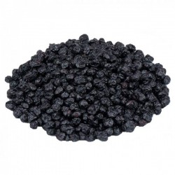 BLUEBERRY DESIDRATADO 100g BLUEBERRY DESIDRATADO 100g