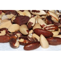 CASTANHA DO PARÁ LARGE 100g