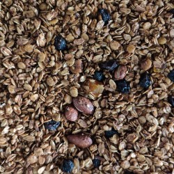 GRANOLA ESPECIAL SEM AÇÚCAR 100g