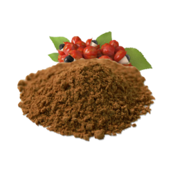 GUARANÁ EM PÓ 100g