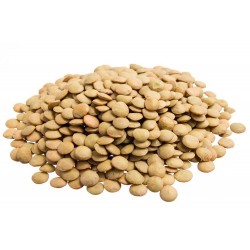 LENTILHA CANADENSE 100g 