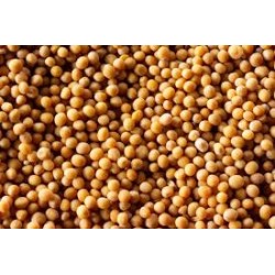 MOSTARDA EM GRÃOS 100g MOSTARDA EM GRÃOS 100g