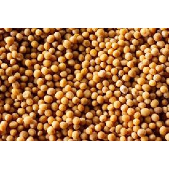 MOSTARDA EM GRÃOS 100g MOSTARDA EM GRÃOS 100g