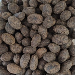 CASTANHA DO PARÁ DRAGEADO NO CHOCOLATE 70% CACAU 100g CASTANHA DO PARÁ DRAGEADO NO CHOCOLATE 70% CACAU 100g