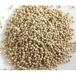 PIMENTA BRANCA EM GRÃO 100g PIMENTA BRANCA EM GRÃO 100g