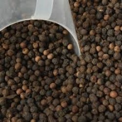 PIMENTA PRETA EM GRÃO 100g PIMENTA PRETA EM GRÃO 100g