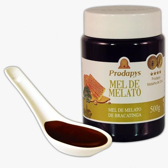 MEL DE MELATO DE BRACATINGA 500g