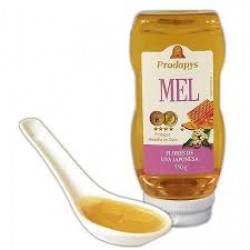 MEL FLORES DE UVA JAPONESA BISNAGA 550g MEL FLORES DE UVA JAPONESA BISNAGA 550g