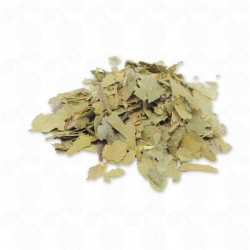 GRAVIOLA EM FOLHAS 100g