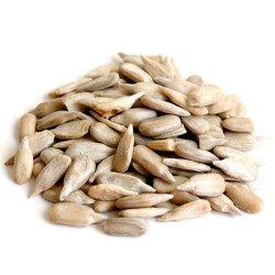 SEMENTE DE GIRASSOL PEPITA 100g SEMENTE DE GIRASSOL PEPITA 100g