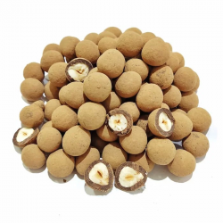 AVELÃ DRAGEADO NO CHOCOLATE 70% CACAU 100g AVELÃ DRAGEADO NO CHOCOLATE 70% CACAU 100g