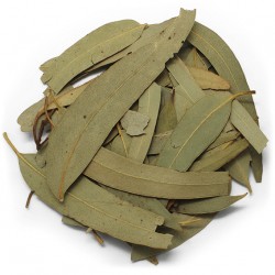 EUCALIPTO 100g