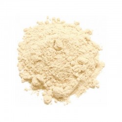 EXTRATO DE SOJA PSA 100g EXTRATO DE SOJA PSA 100g