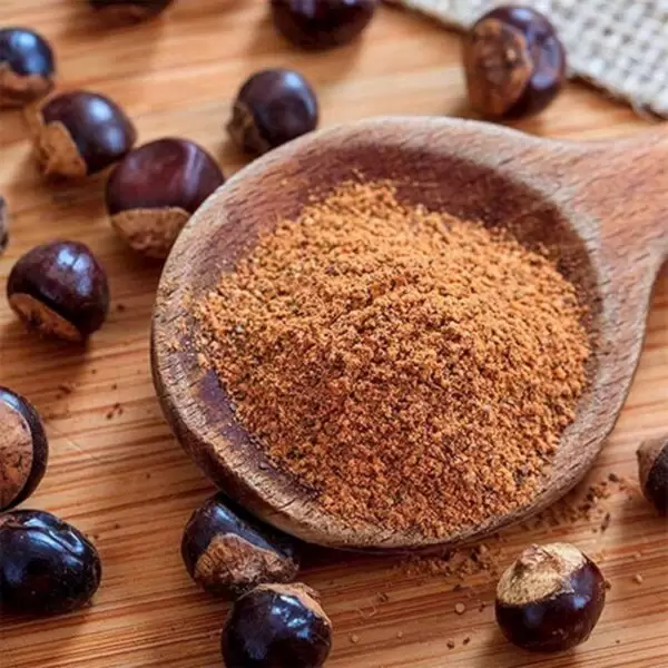 GUARANÁ EM PÓ 100g