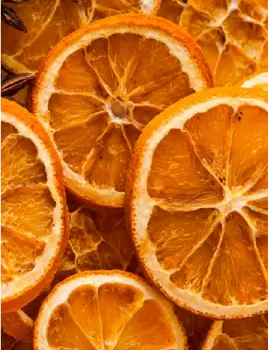 LARANJA FATIADA DESIDRATADA 100g