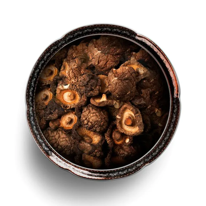 SHITAKE DESIDRATADO INTEIRO 100g